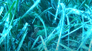 Pic04